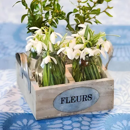 Wellehof * Oberkirch (Baden)