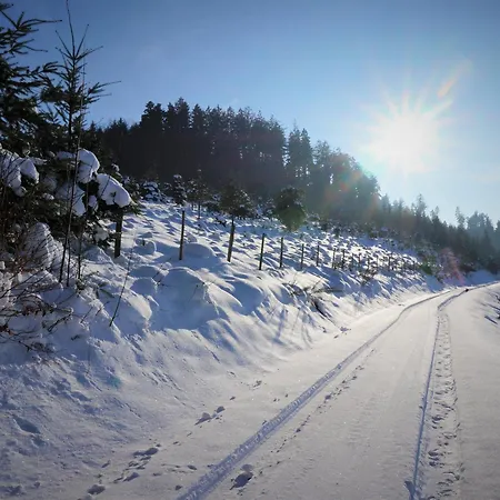 Wellehof * Oberkirch (Baden)
