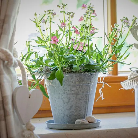 Wellehof Farm stay