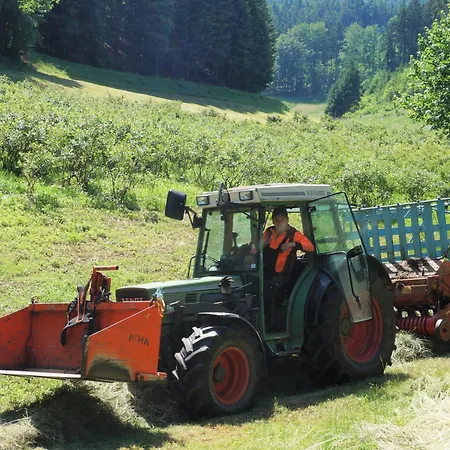 Wellehof Farm stay *