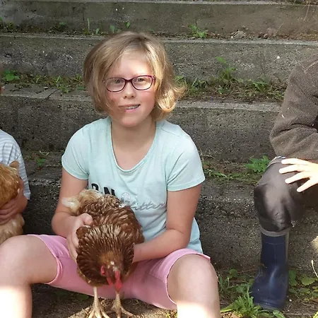 Farm stay Wellehof *