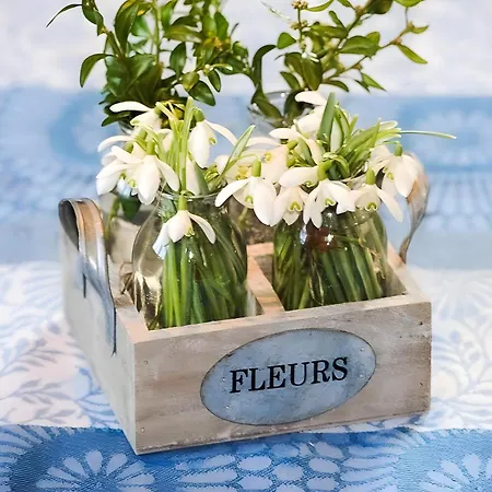 Wellehof 奥伯基希